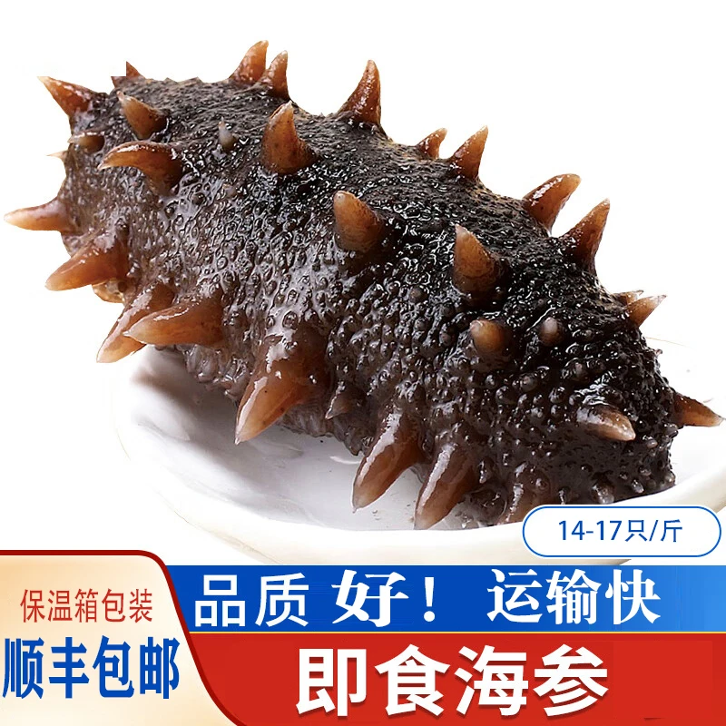 即食传统烟台海参辽刺参口感Q弹顺丰冷链发货1000g