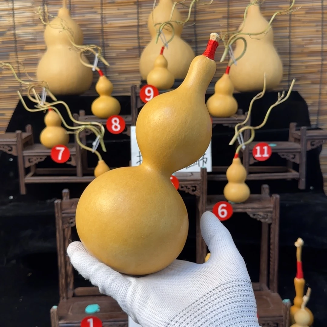 刘***.啊啊啊啊啊啊啊啊啊啊啊啊啊