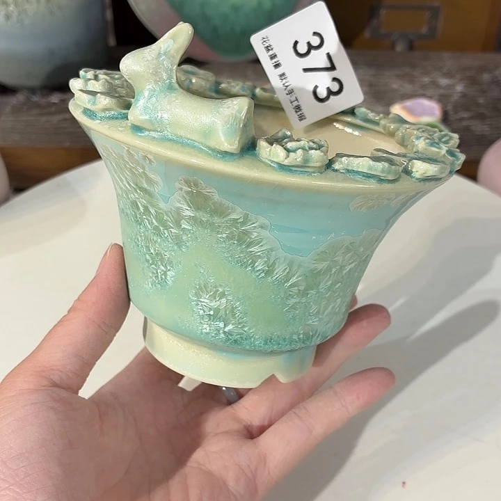 花盆花盆花盆花盆
