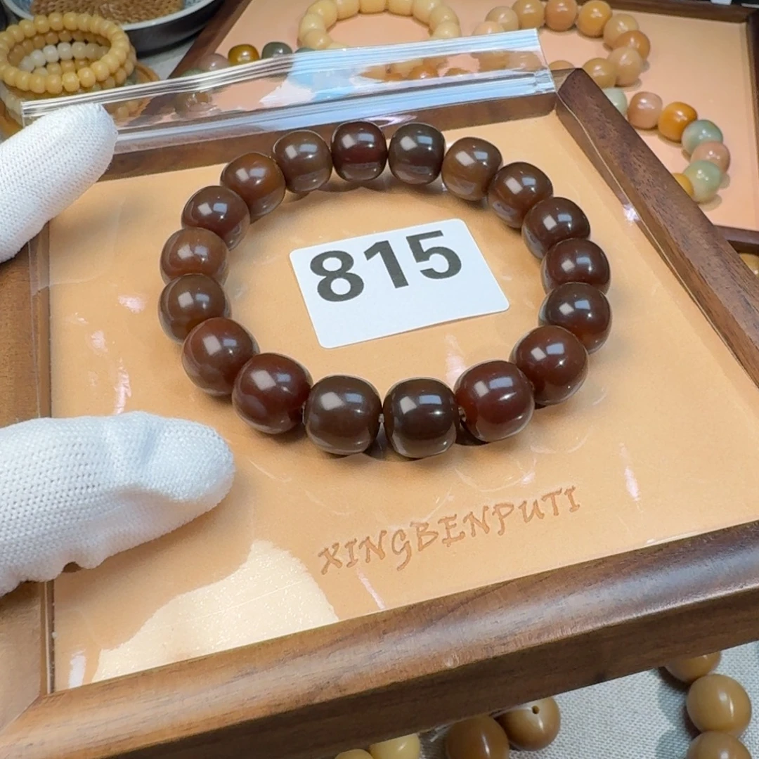 月****菩提根/象牙果吊坠全14