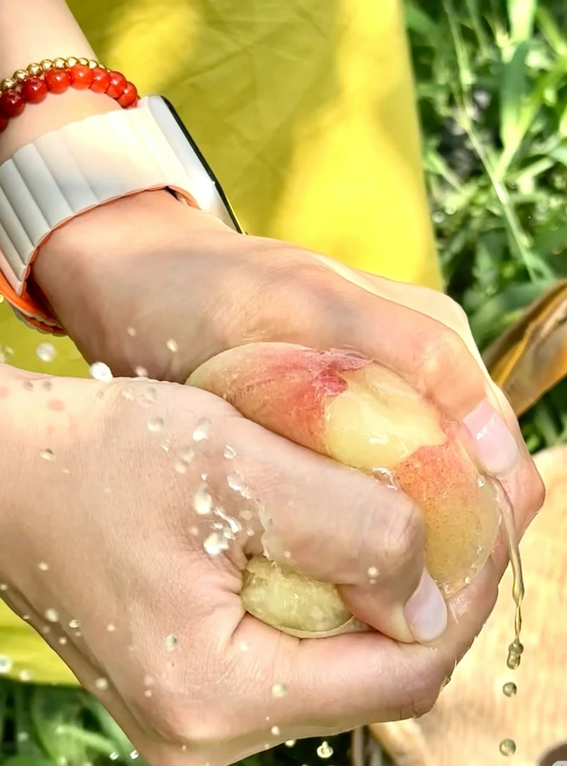 【湖景】正宗无锡阳山水蜜桃4-5两8个装现采现摘精品礼盒甜