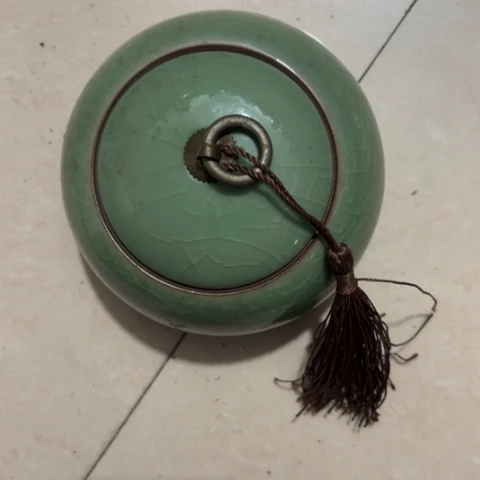 香榧木一**南Fhhfhbfhbchbcgbcb c