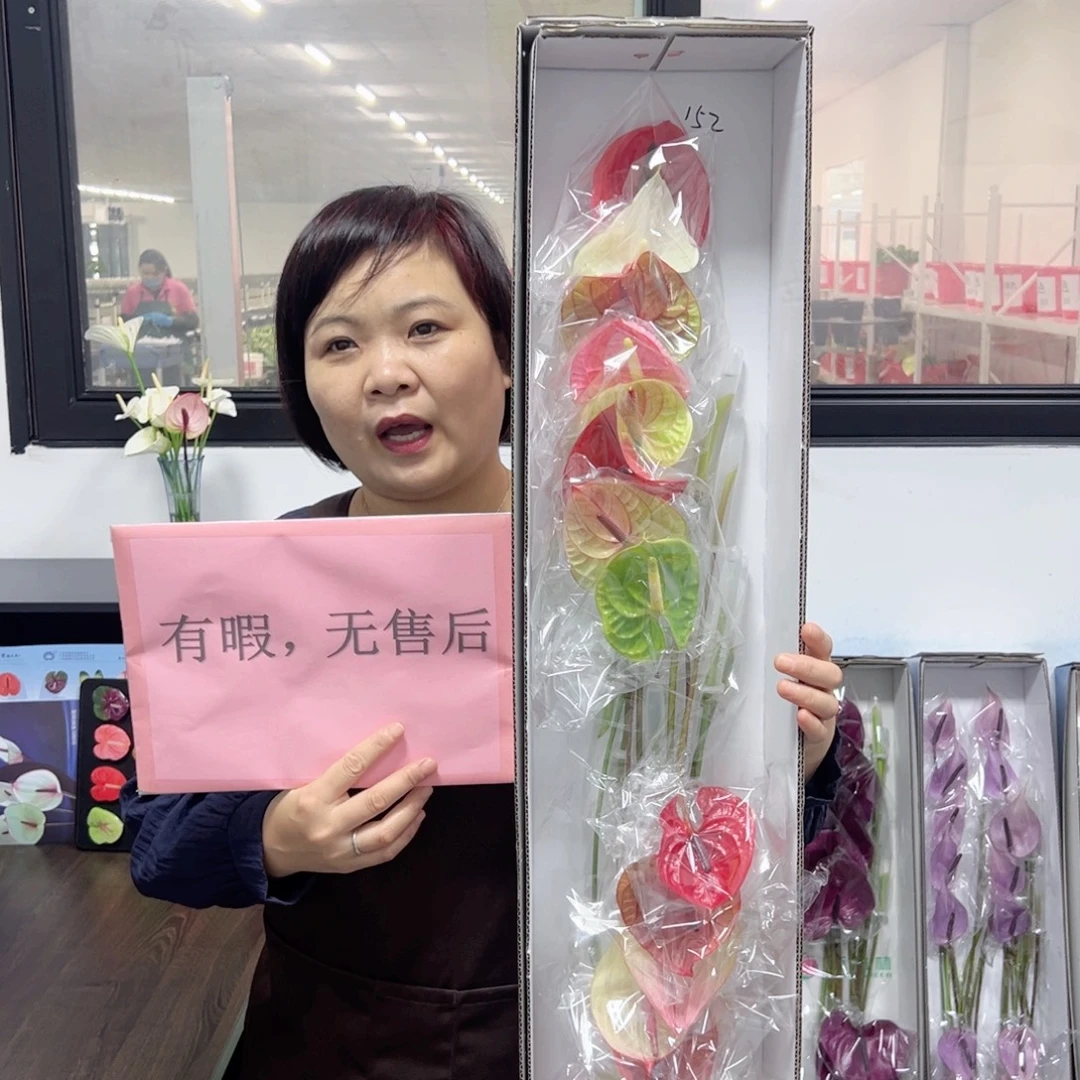 完全开放混色-16枝装无售后款152