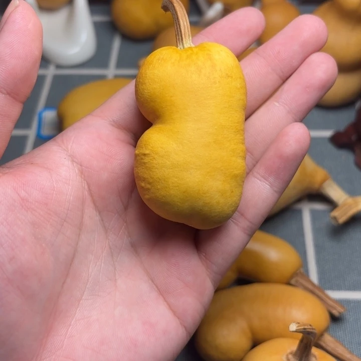 白***啦葫芦666666666666
