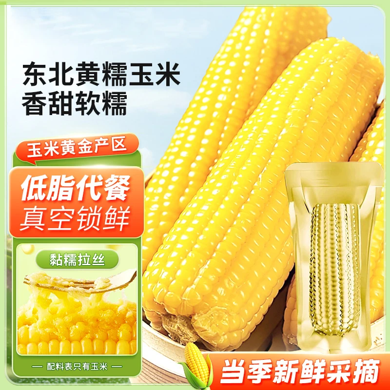 正宗东北糯玉米x12根【金铝箔】锁鲜真空包装 粗粮轻食 甜糯鲜玉米