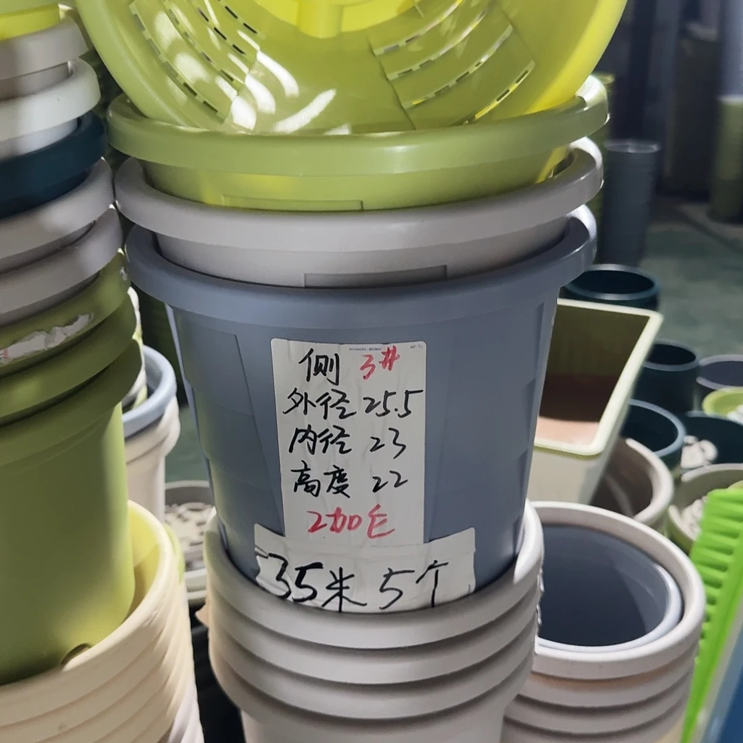 测3#口径25无拖果绿5个