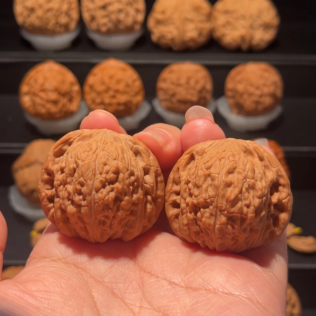 全品，精品，39泥鳅背081