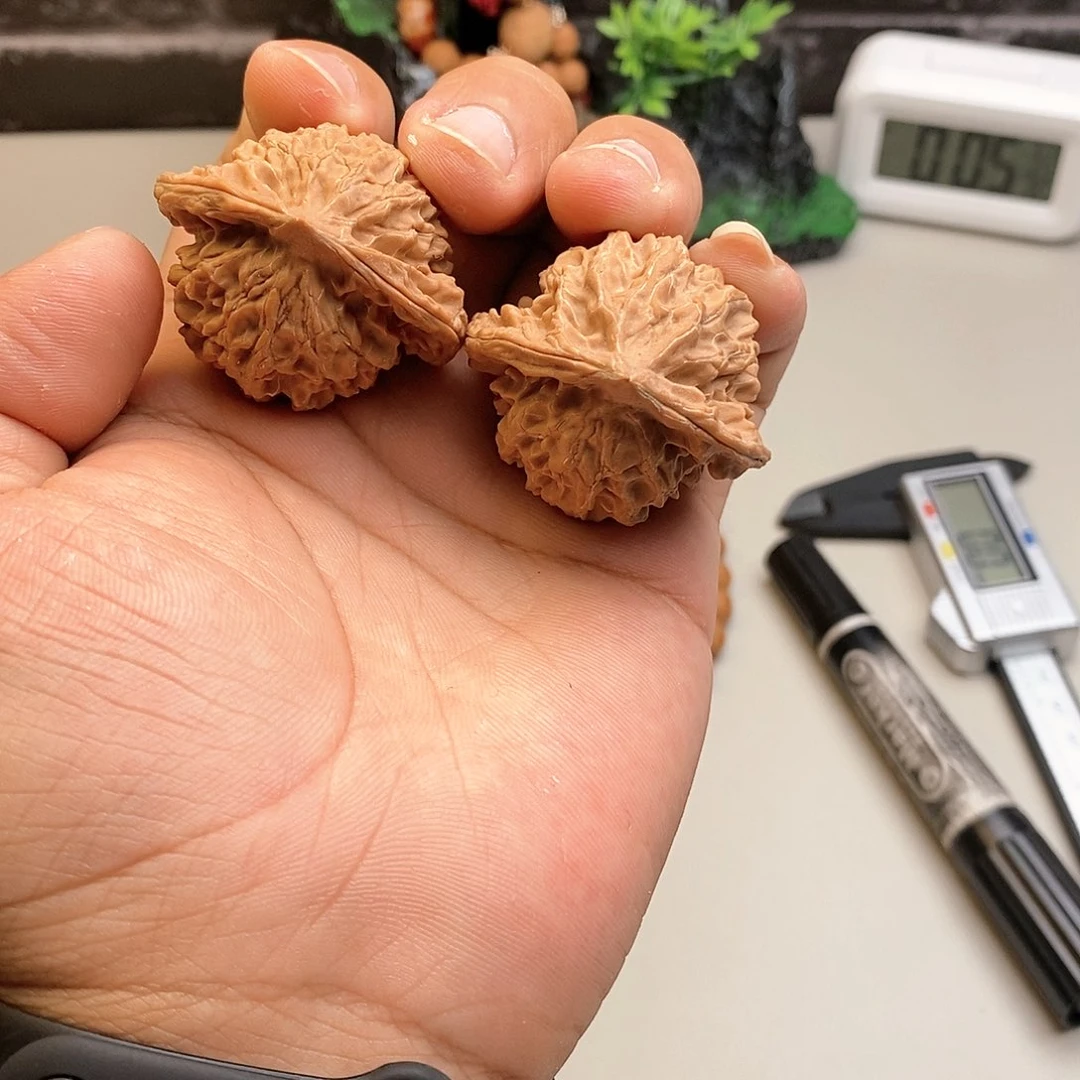 凤眼菩提手串小****?文玩核桃