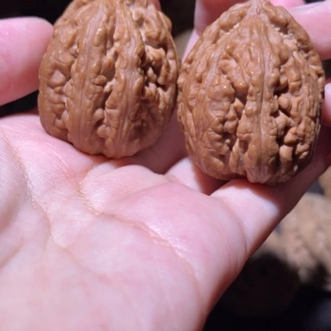 把件文玩核桃东北野生楸子小园 107