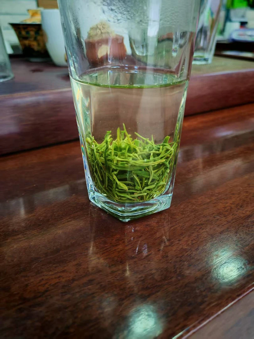 新茶信阳毛尖 明前口粮茶 茶香鲜爽 正宗生态传统工艺