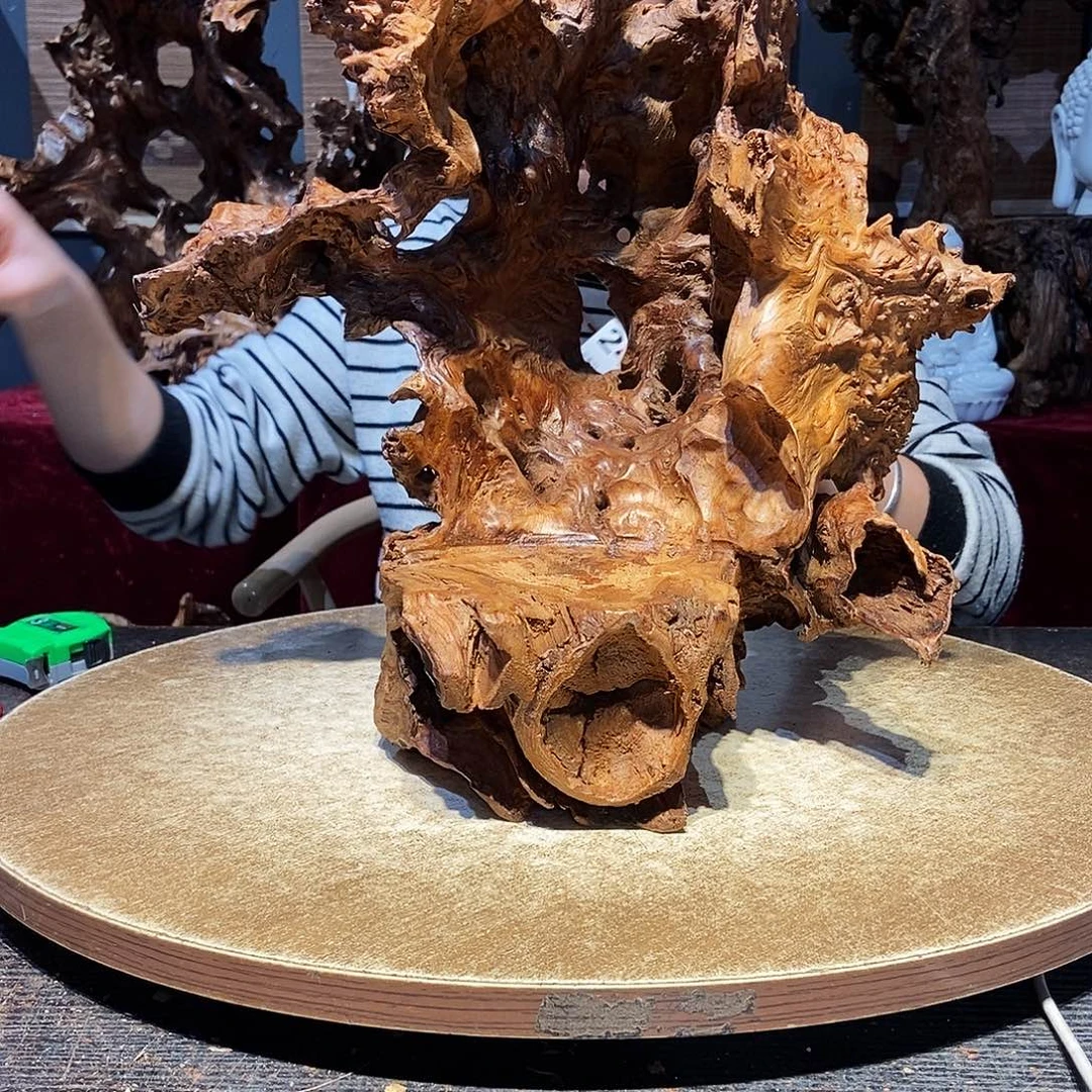青***稞241株木随行的小根艺