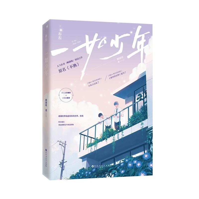 一如少年  正版书籍精选好书