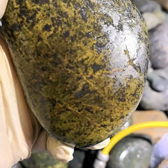 默***陌藏玉药王石原石一个摆件