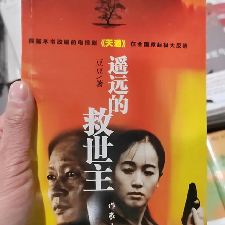 遥远的救世主豆豆