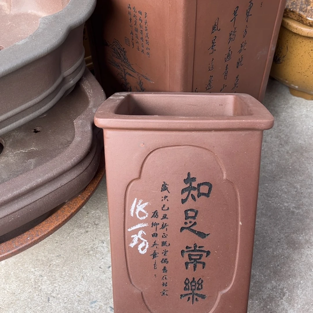 花盆紫砂盆景艺术