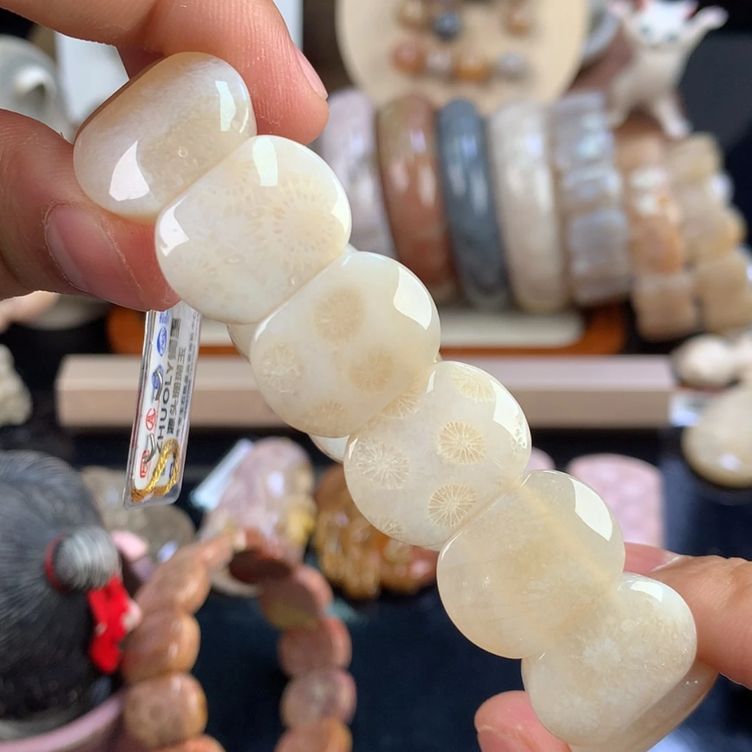 【闪购商品】硅化珊瑚（珊瑚玉）未镶嵌颈饰25号白冰