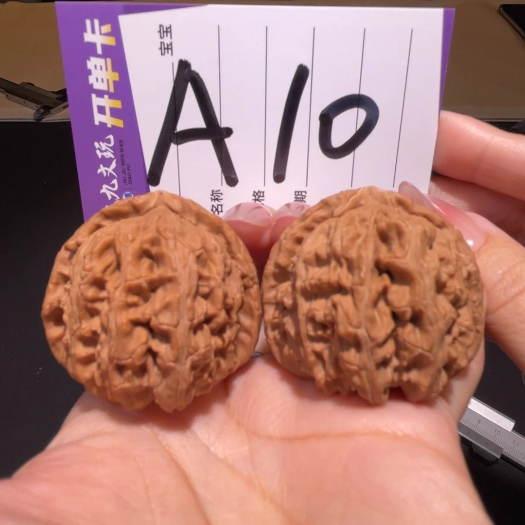 把件文玩核桃41a白狮子