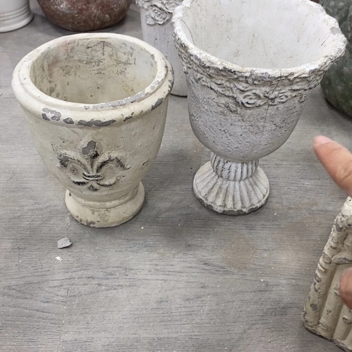 花盆649494949 494949