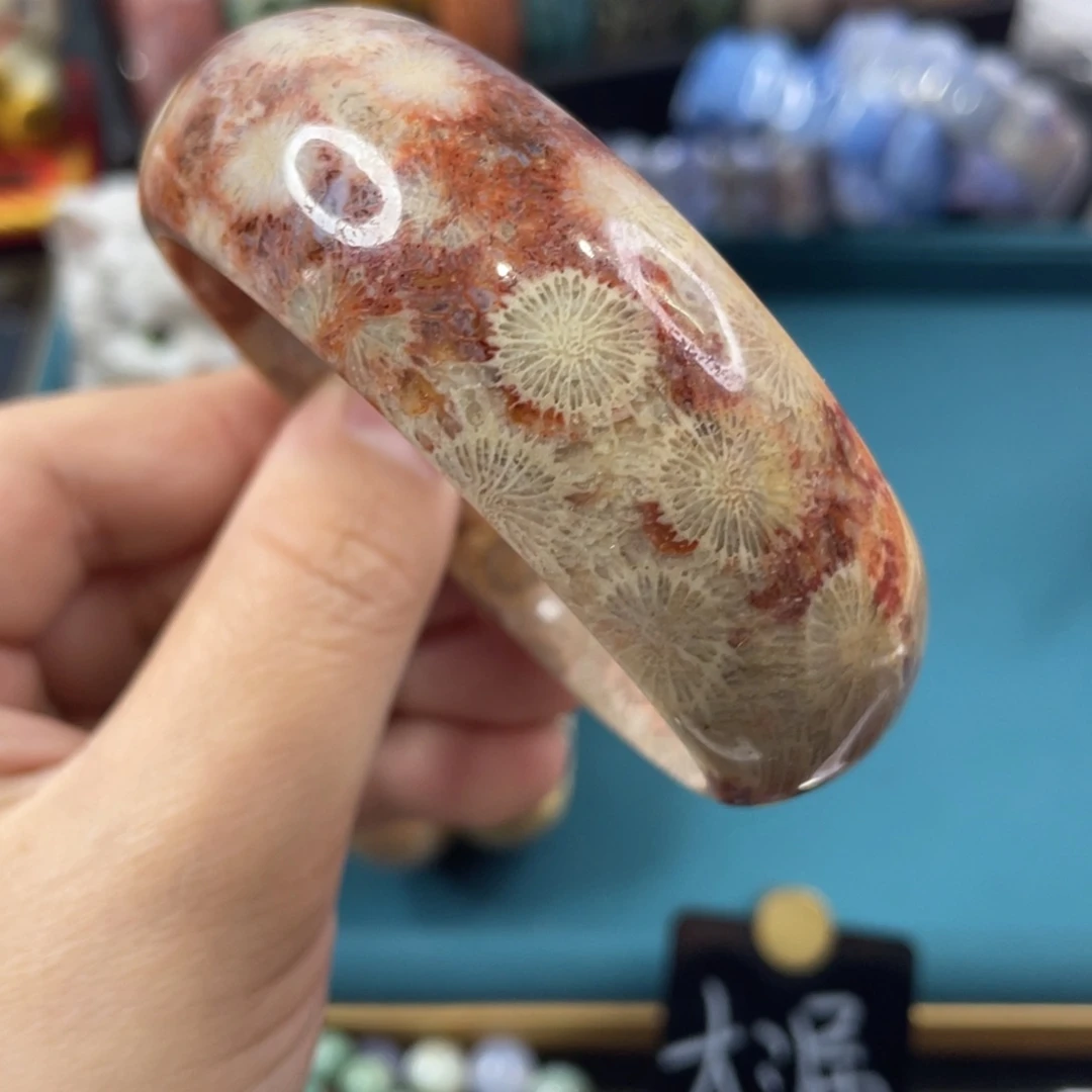 未镶嵌手镯硅化玉