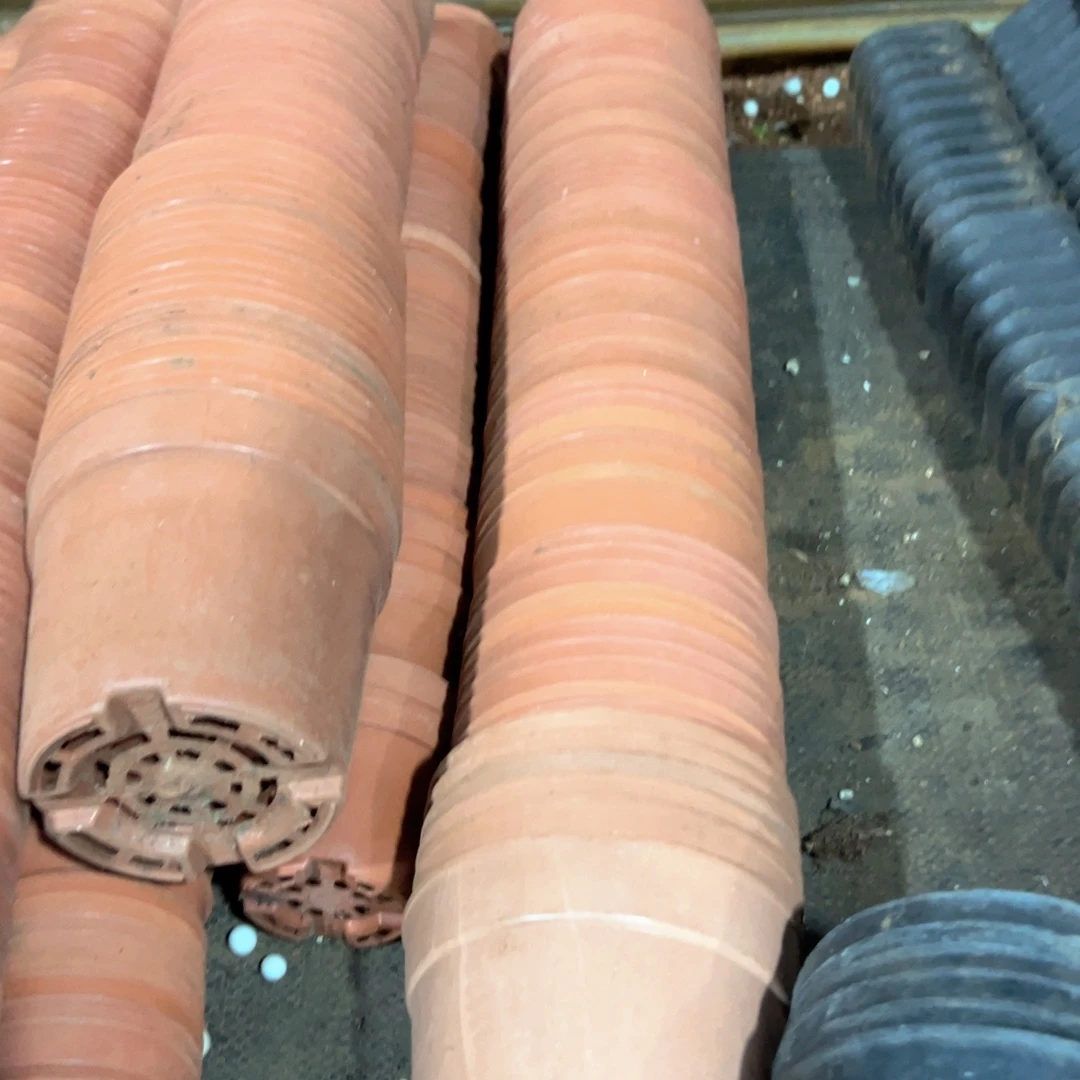 红色矮胖盆11-12口径40个