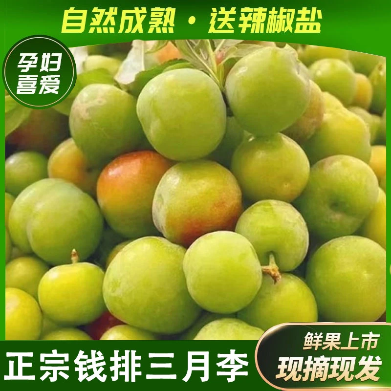 现货正宗广东茂名钱排新鲜采摘酸脆三月李早熟青李子当季孕妇水果
