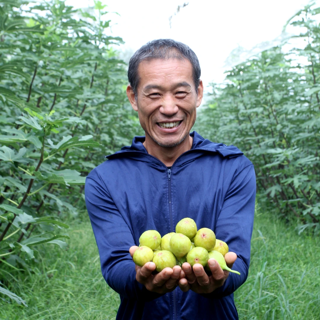 顺丰包邮芭劳奈无花果中果优选