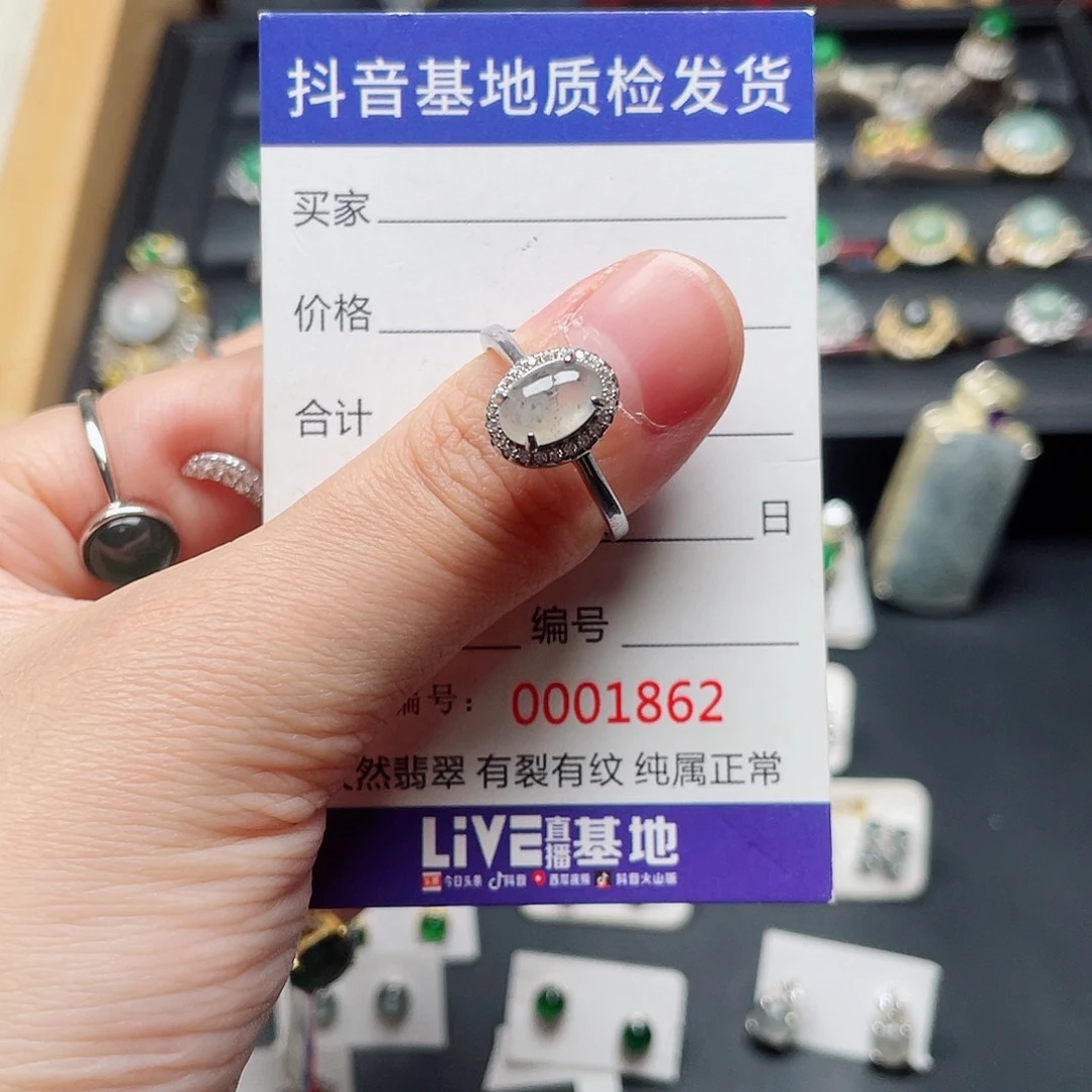 银S925镶嵌翡翠耳饰