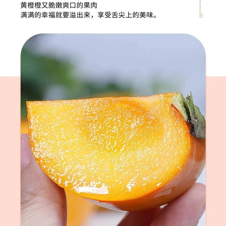 农家酒柿子淹柿子甜柿子脆柿子