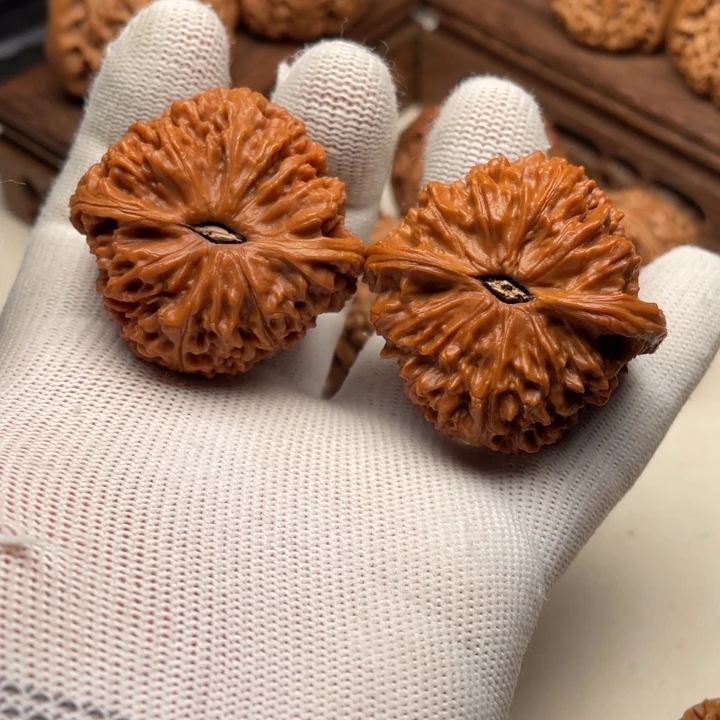 白***纸菩提籽类文玩核桃南将石