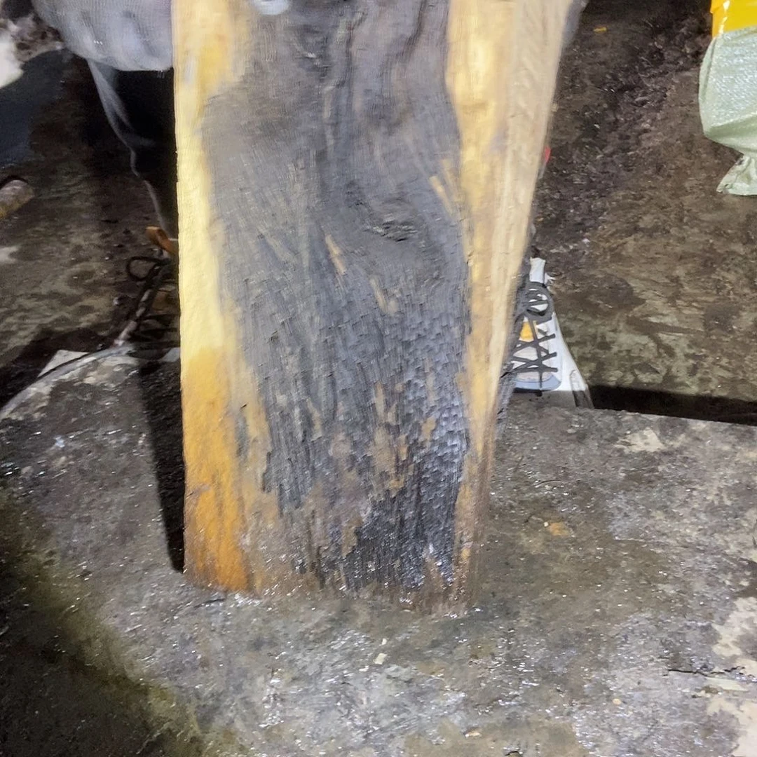 金丝楠阴沉木小叶帧楠