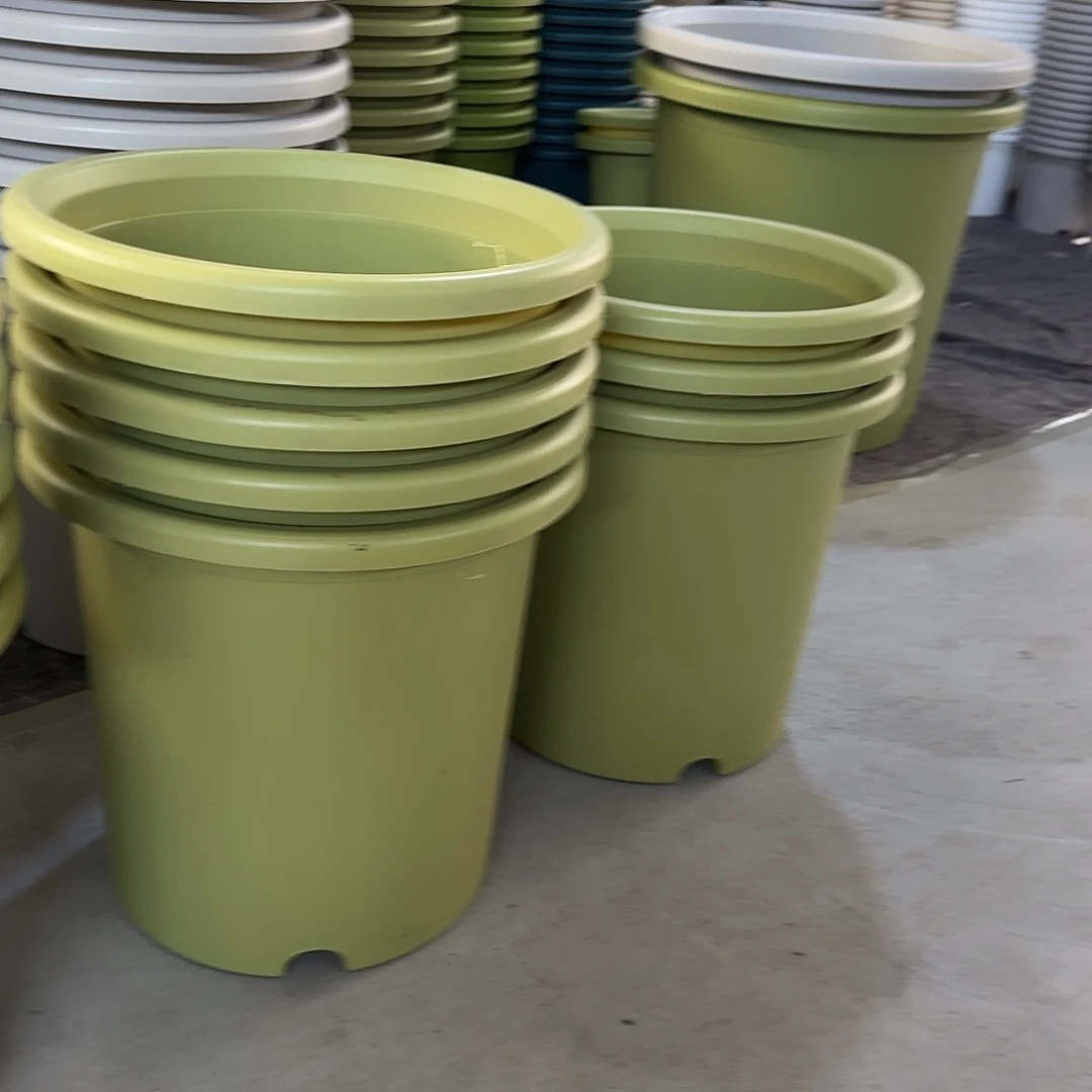 树脂55厘米2个果绿，无托