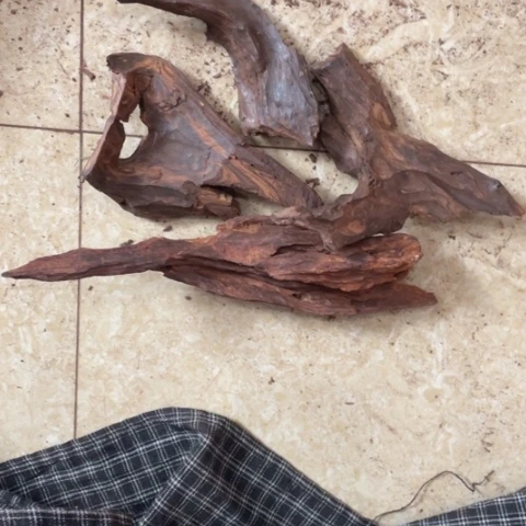 黄花梨/降香黄檀茶**缘