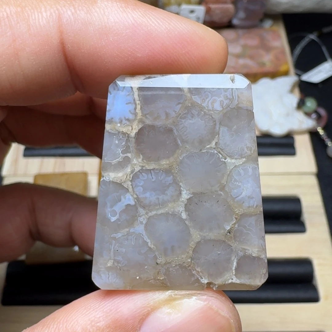 未镶嵌纯天然色有机玉石保真色硅化玉