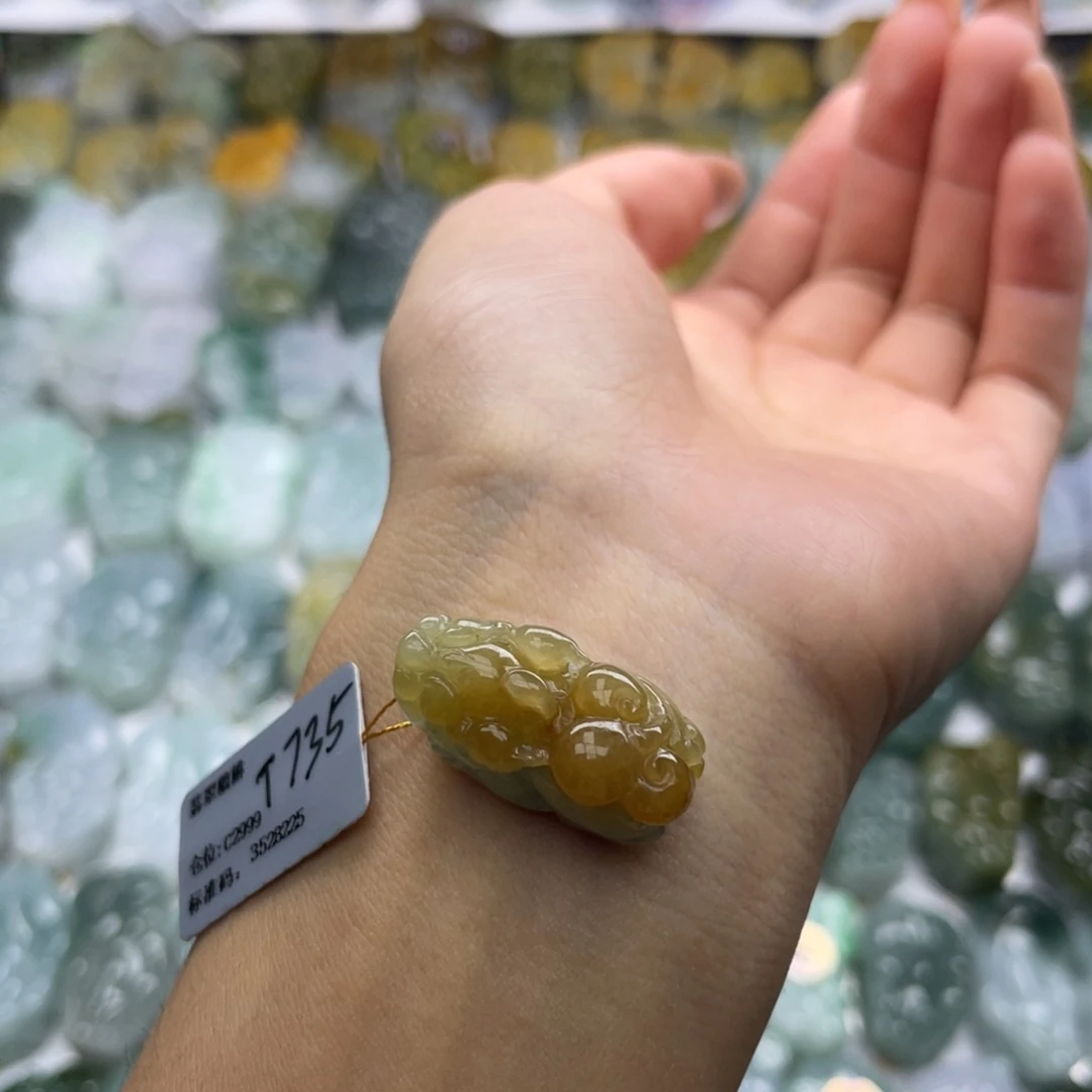翡翠未镶嵌颈饰貔貅