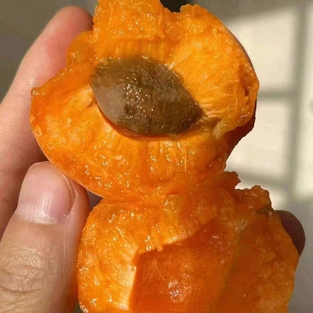 新疆吊干杏（软糯香甜，杏子味足）同城配送