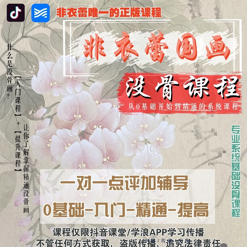 非衣蕾国画没骨画零基础入门/提升/精通绘画课程写生精品学习创作