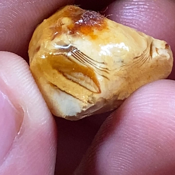 未镶嵌定制琥珀格**爸