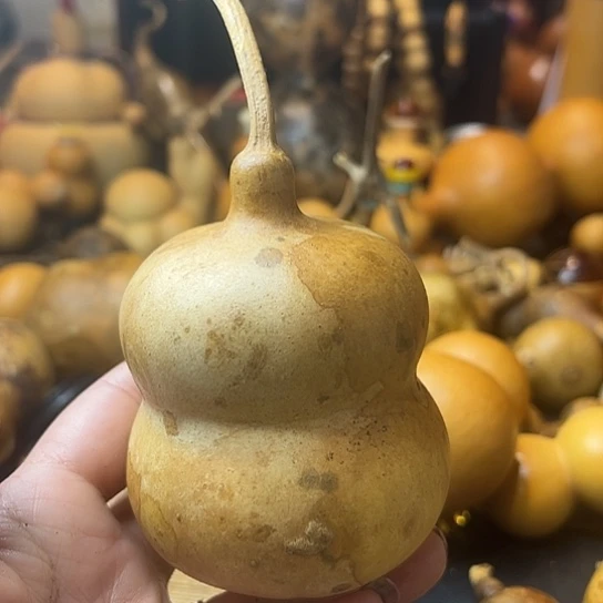 是**呀葫芦葫芦葫芦葫芦