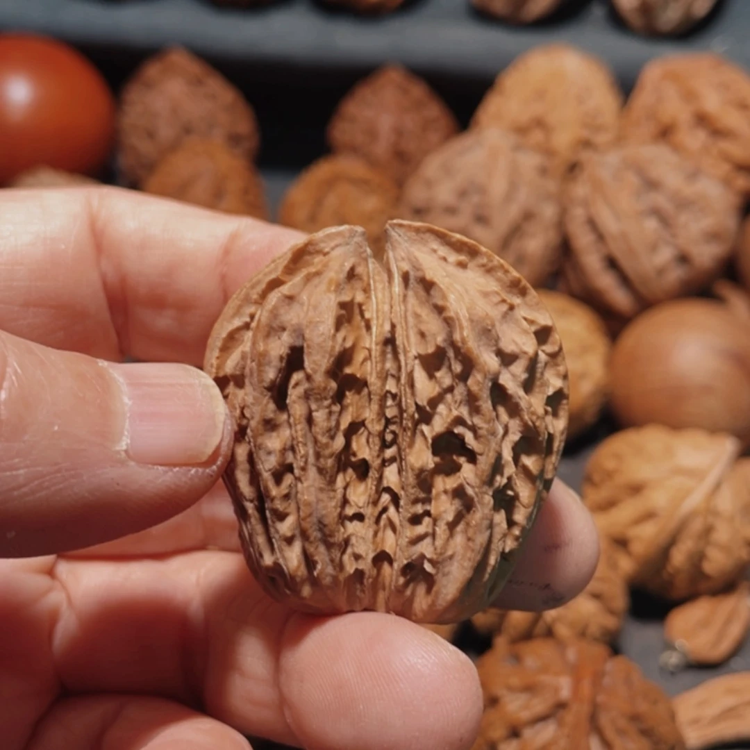 【闪购商品】把件文玩核桃东北楸子30