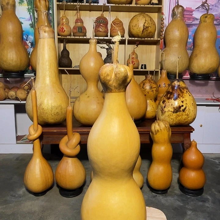 博***赵大葫芦大葫芦大葫芦