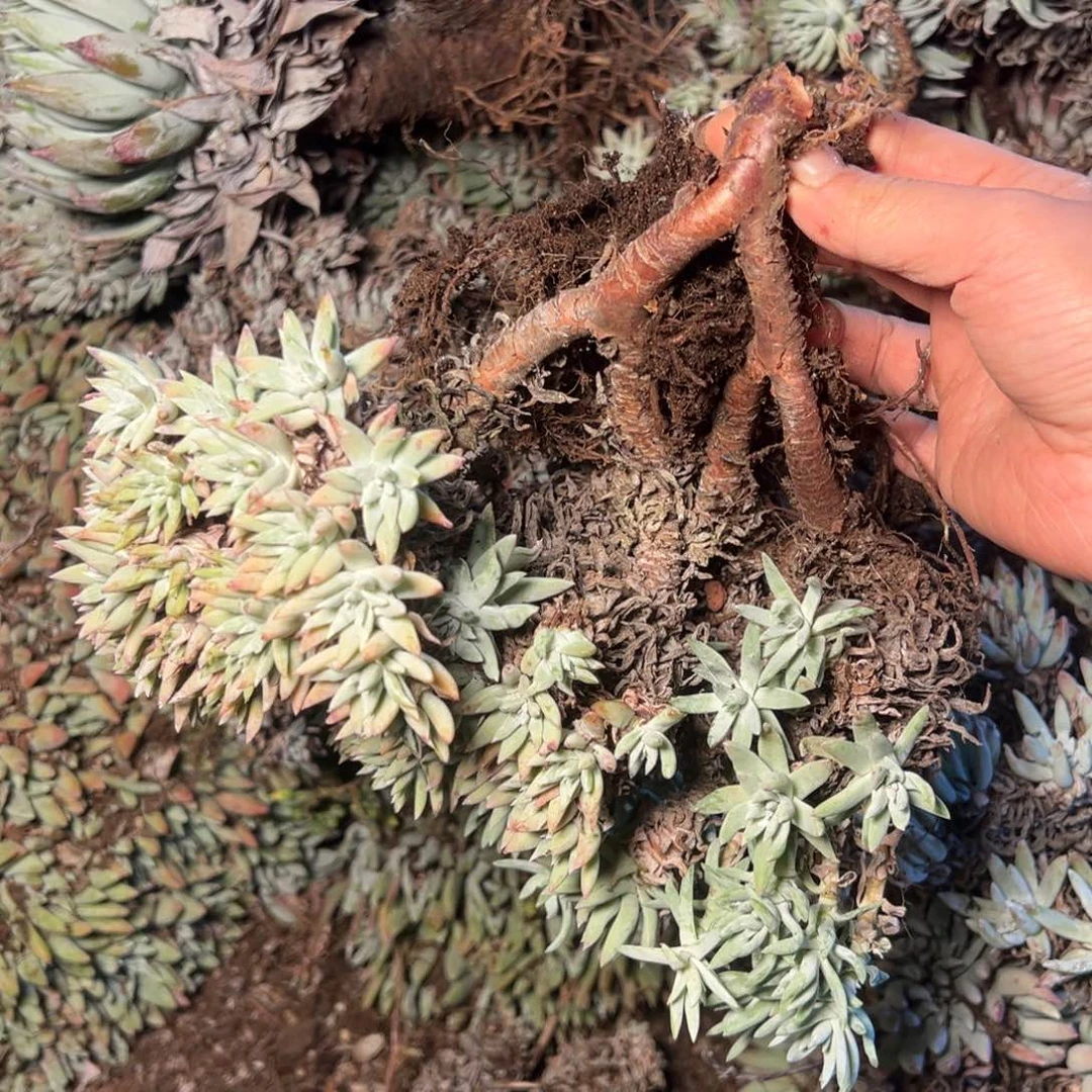 2170哈哈哈哈哈哈哈哈哈