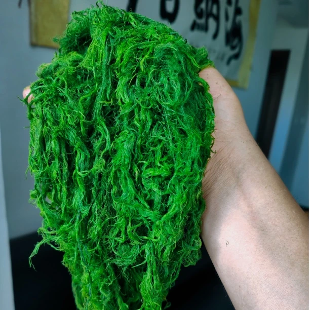 新鲜马尾青苔鱼饵主攻草鱼鲤鱼清波红尾鳊鱼赤尾雅鱼等淡水鱼鱼饵