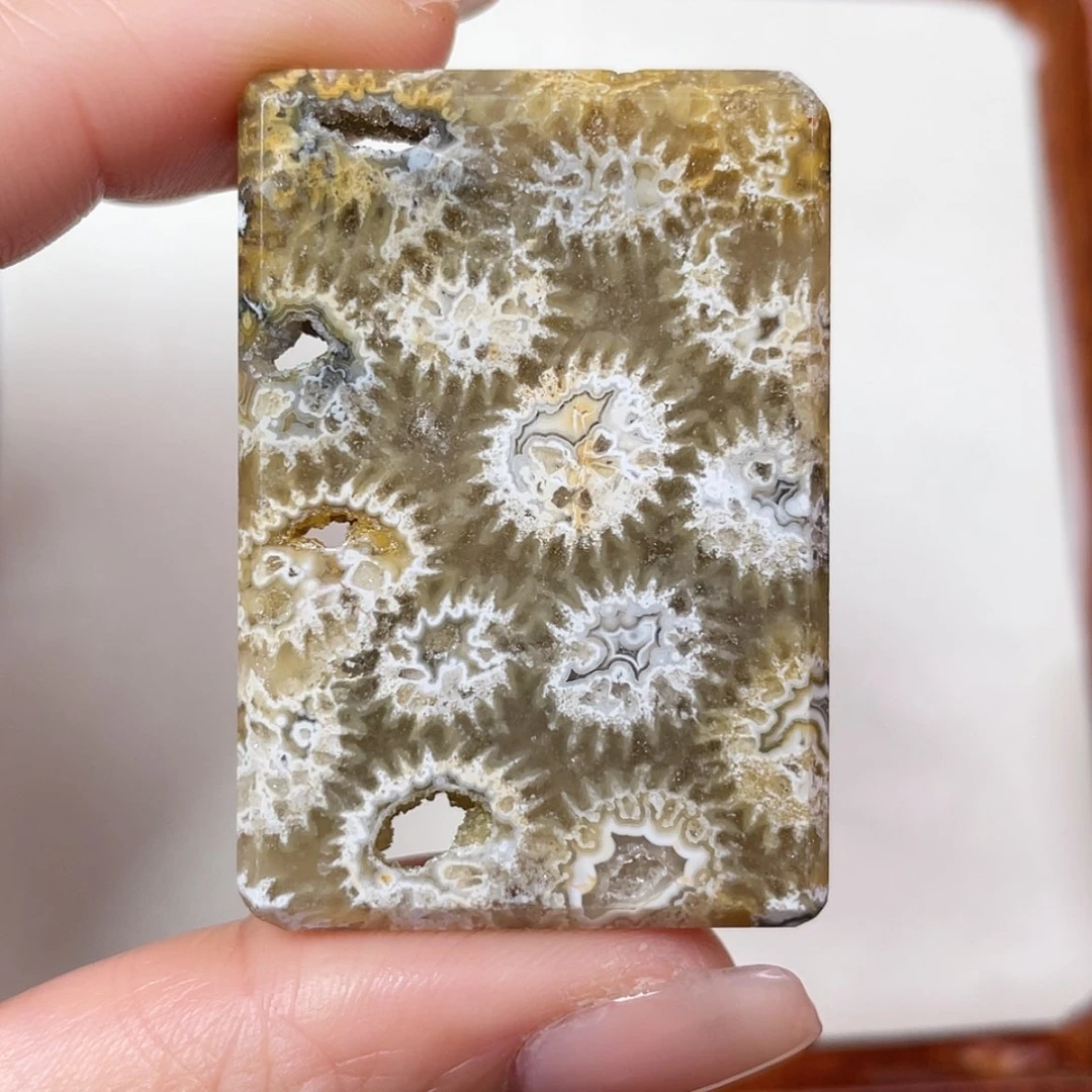 【闪购商品】未镶嵌吊坠(赠链)硅化玉