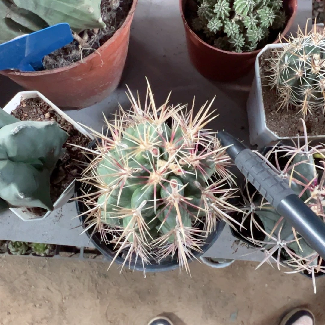 颜***涵哈哈哈哈哈哈哈哈哈哈哈