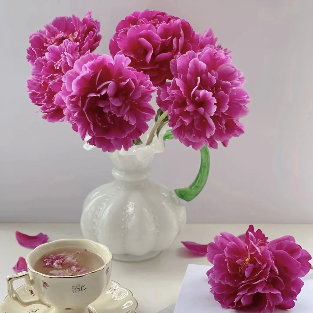 【杨鹏鲜花】AAAAA独家记忆 芍药（生花苞发货养护找客服）