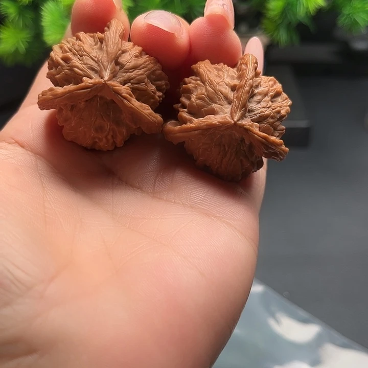 核桃36盘山公子帽全品
