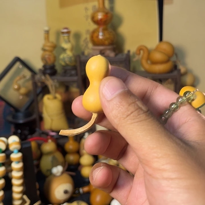 猫三个瓶子绕指、天天开心