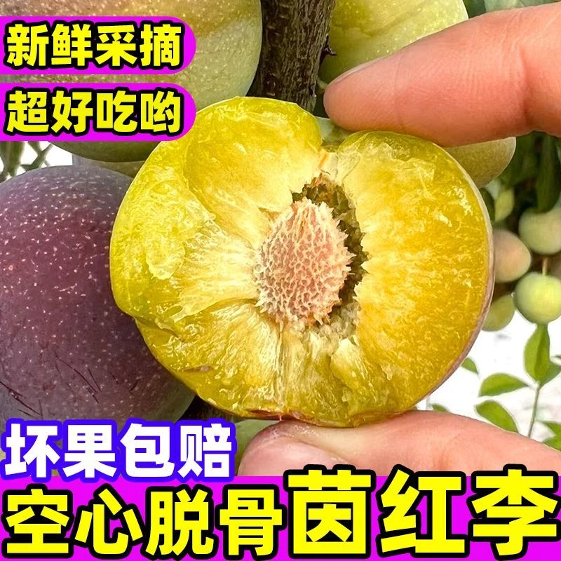 【应季鲜果】正宗四川脱骨李子半边红清脆李红李子茵红李脆红李