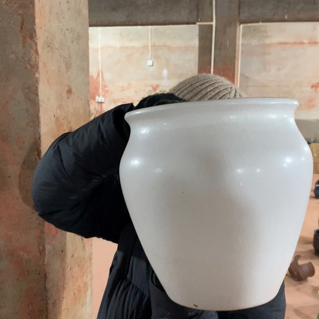 花盆啦啦啦啦啦啦啦