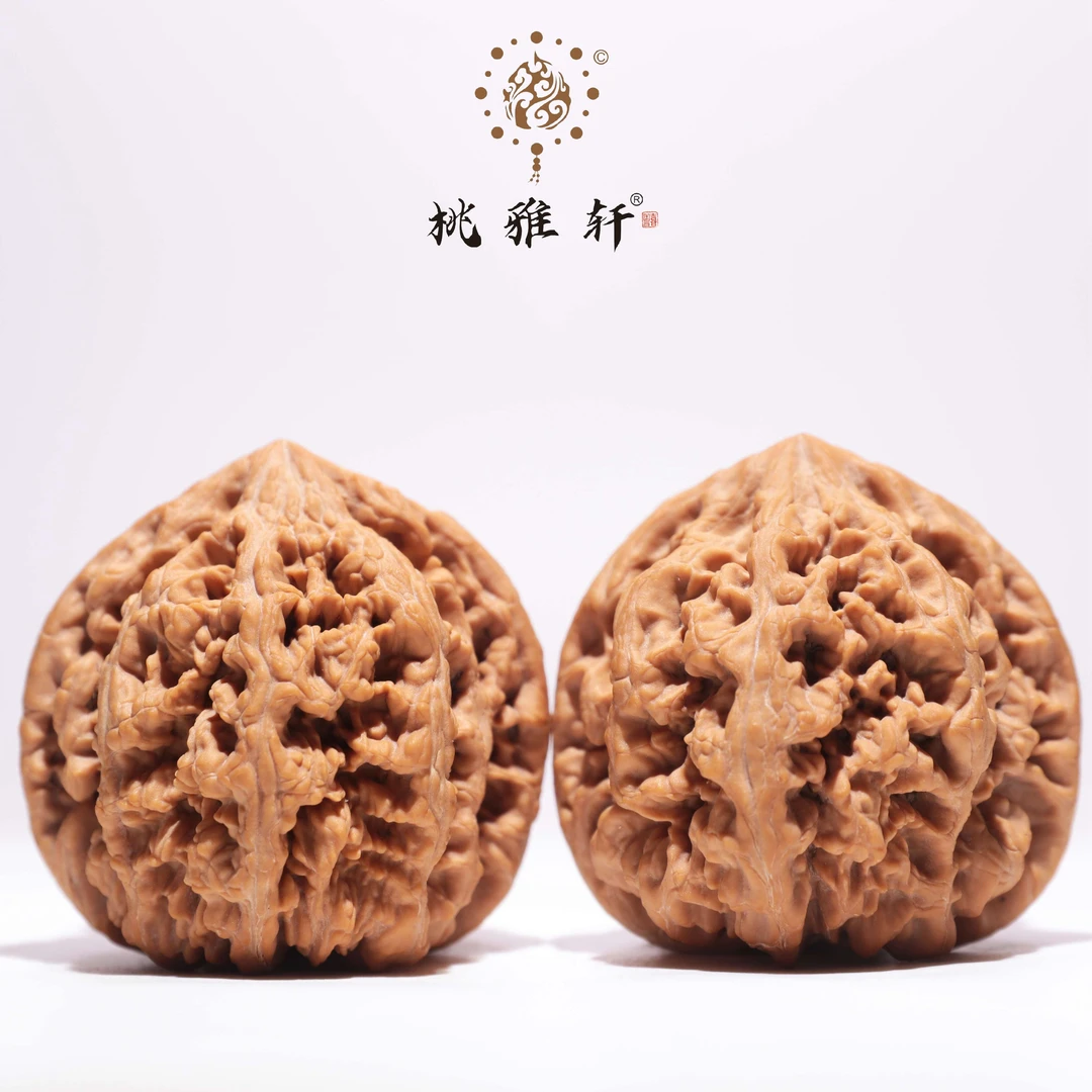 大粗筋 · 46-45-45 一物一图